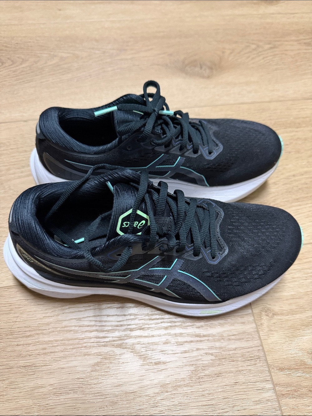 ASICS Black Kayano 30s with Mint Trim